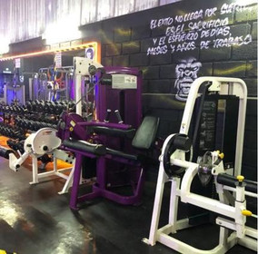 Imagen 4 de la galería del partner House Gym Pro
