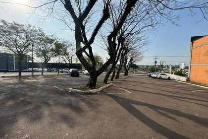 Imagem 5 da galeria do parceiro Bem estar