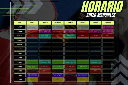 Imagen 1 de la galería del partner MMA Team Aldama