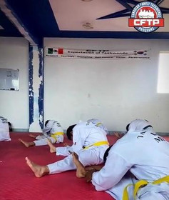 Imagen 3 de la galería del partner MMA Team Aldama