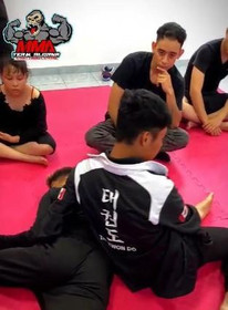 Imagen 5 de la galería del partner MMA Team Aldama