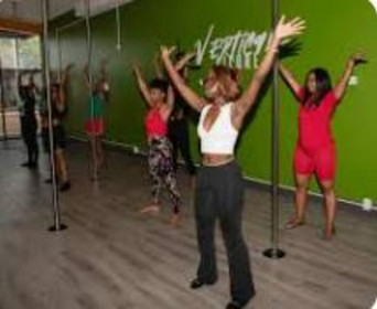 Image 4 from Vertical Allure: Pole Dance and Fitness partner gallery