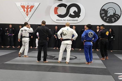 Image 3 from Ares BJJ Phoenix partner gallery