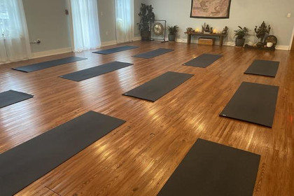 Image 1 from Mindful Turtle Yoga partner gallery