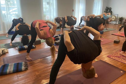 Image 4 from Mindful Turtle Yoga partner gallery