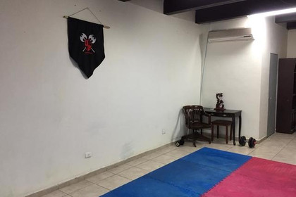 Imagen 3 de la galería del partner KungFu Tradicional Berserkers
