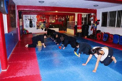 Imagen 1 de la galería del partner Escuela de Karate Kenpo