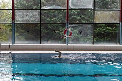 Bild 2 von Hallenbad Lahr Partnergalerie