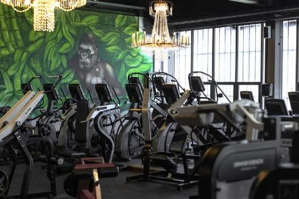 Bild 2 von Shapeshifters Gym Blaue Brücke Partnergalerie