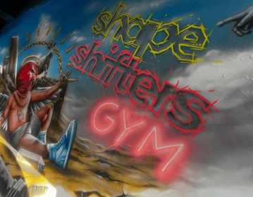 Bild 5 von Shapeshifters Gym Core Partnergalerie