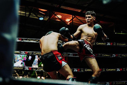 Imagen 1 de la galería del partner Pugnator Martial Arts