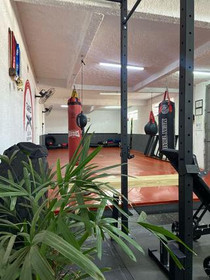 Imagem 5 da galeria do parceiro Team Bizu Academia de Lutas
