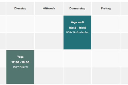 Bild 1 von Yogalogie Ü50 Yoga - Jordanstraße 2 Partnergalerie