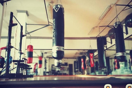 Immagine 1 dalla galleria del partner Sesa Boxing Group Porto Torres
