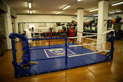Immagine 2 dalla galleria del partner Sesa Boxing Group Porto Torres