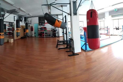 Immagine 3 dalla galleria del partner Sesa Boxing Group Porto Torres