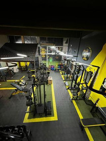 Imagen 1 de la galería del partner The King Gym.