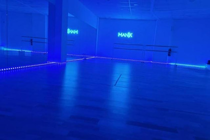 Imagen 3 de la galería del partner Manik Dance School Madrid