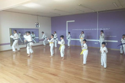 Imagen 3 de la galería del partner Karate Do Dojo Seisho Kai Central SKIF