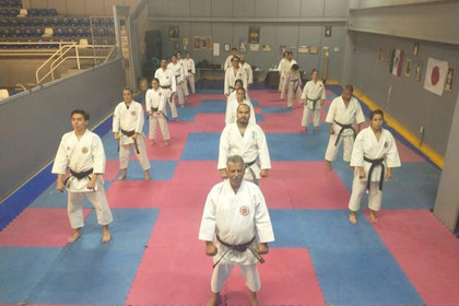 Imagen 4 de la galería del partner Karate Do Dojo Seisho Kai Central SKIF