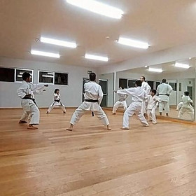 Imagen 5 de la galería del partner Karate Do Dojo Seisho Kai Central SKIF