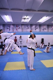 Imagen 3 de la galería del partner GAMEZ CO. BOSQUES