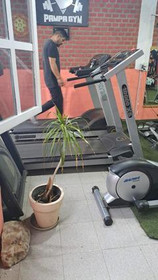 Imagen 1 de la galería del partner Pampa Gym