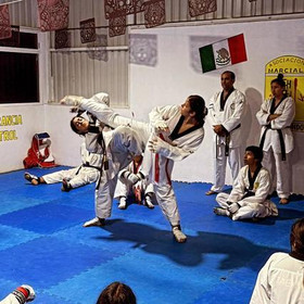 Imagen 1 de la galería del partner Taekwondo Panteras Pachuca