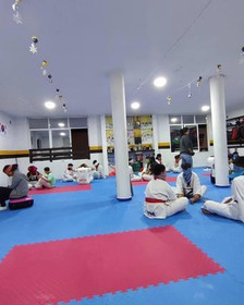 Imagen 2 de la galería del partner Taekwondo Panteras Pachuca