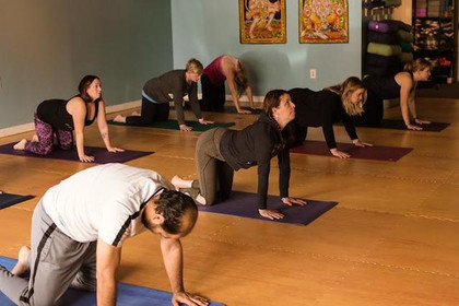 Image 5 from Surya Yoga LLC partner gallery