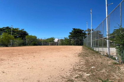 Imagem 5 da galeria do parceiro Stella Academy