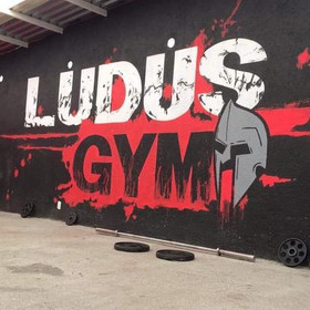 Imagen 7 de la galería del partner LUDUS GYM Creando gladiadores