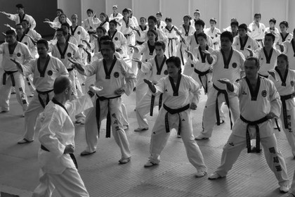 Imagen 1 de la galería del partner Richard Chun Taekwondo México San Antonio Monterrey Salina Cruz