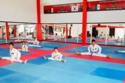 Imagen 5 de la galería del partner Richard Chun Taekwondo México Tabachines