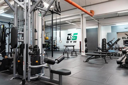Bild 1 von Dedicated Sports Partnergalerie