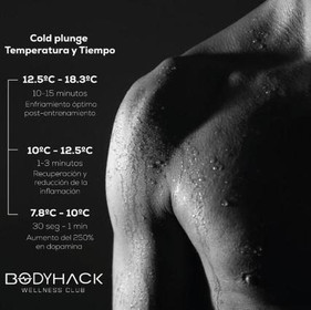Imagen 2 de la galería del partner Body Hack Wellness Club