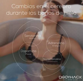 Imagen 3 de la galería del partner Body Hack Wellness Club