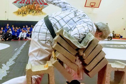 Image 4 from W. Kim Tae Kwon Do - Mount Prospect partner gallery