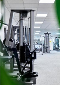 Bild 5 von LENNI´S GYMNASION Partnergalerie