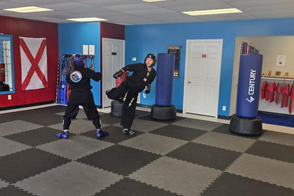 Image 4 from Wolfpack Martial Arts partner gallery