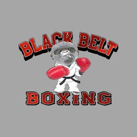 Image 5 from Black Belt Boxing Inc partner gallery