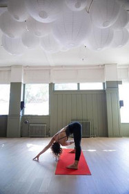 Image 4 from Earthly Bodies Yoga + Movement partner gallery