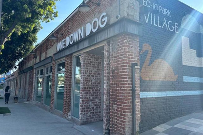Image 1 from One Down Dog - Echo Park partner gallery