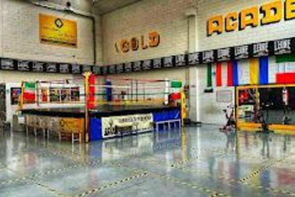 Immagine 1 dalla galleria del partner Gold Academy