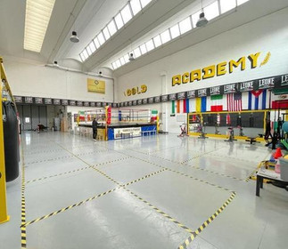 Immagine 2 dalla galleria del partner Gold Academy