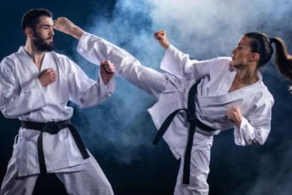 Image 2 from Berringer Martial Arts partner gallery
