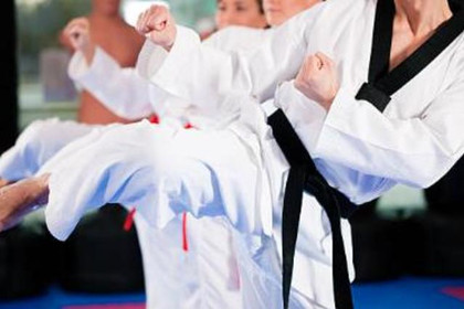 Image 3 from Berringer Martial Arts partner gallery