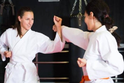 Image 4 from Berringer Martial Arts partner gallery