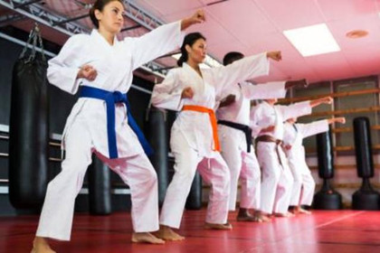 Image 5 from Berringer Martial Arts partner gallery