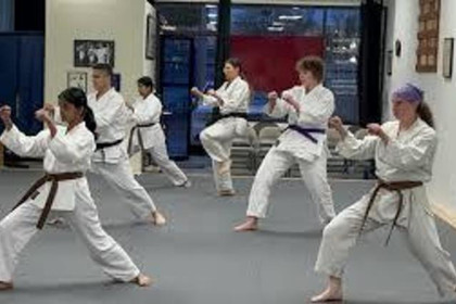 Image 1 from Fremont Shotokan Karate partner gallery